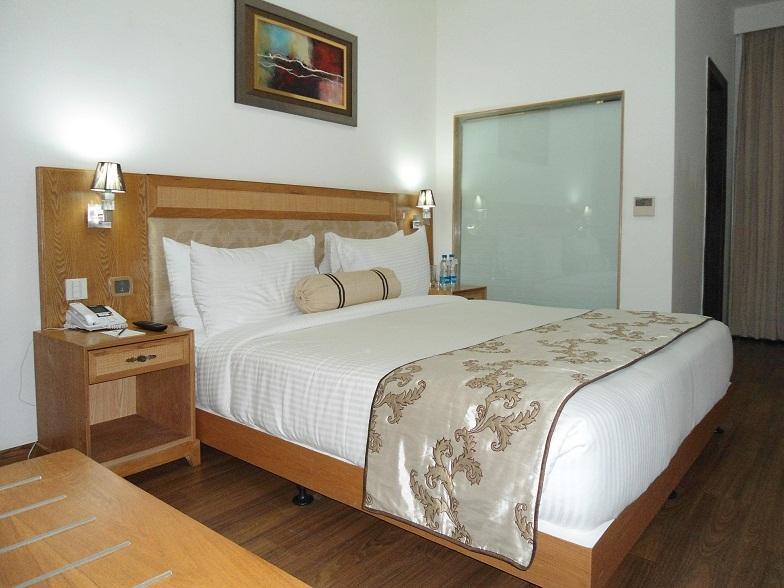 Comfort Inn Anneha New Delhi Room photo