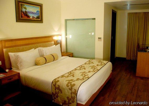Comfort Inn Anneha New Delhi Room photo